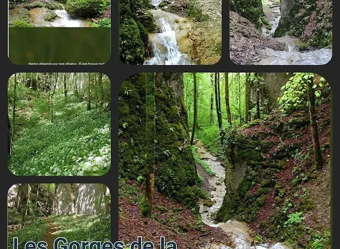 La Maison De L'abeille De Percey